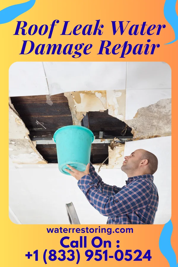 Roof Leak Water Damage Repair in Basalt, ID